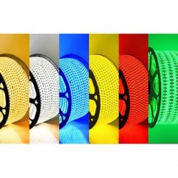 AC LED R60 5050
